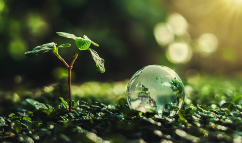 Sustainability